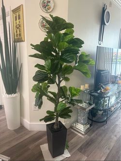 Pretty artificial plant 6 ft tall fig tree with tall planter! Brand New