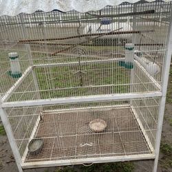 Cage Bird