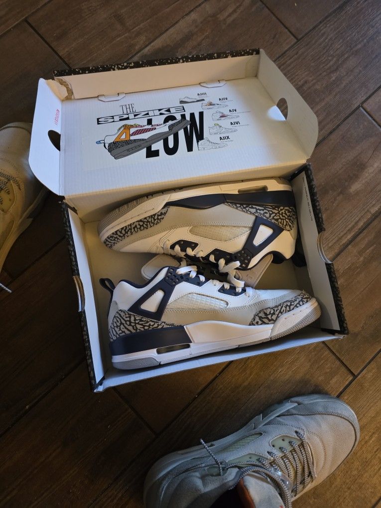 Jordan Spizike Low