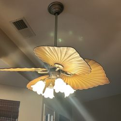 Hunter Ceiling Fan 