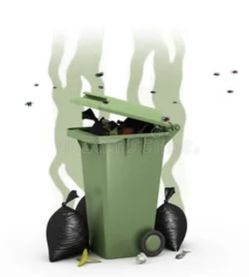 Smelly Trash Bins