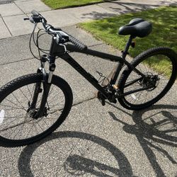 Mountain Bike