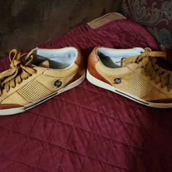 Hurricanes Luggage Edition Light Use