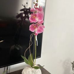 Artificial  Plant 