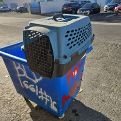 Cat dog transport 