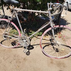 Schwinn Bike