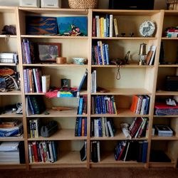 Ikea Birch Bookshelves (7)