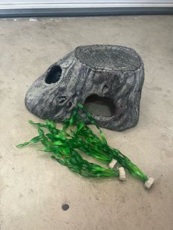 fish stuff