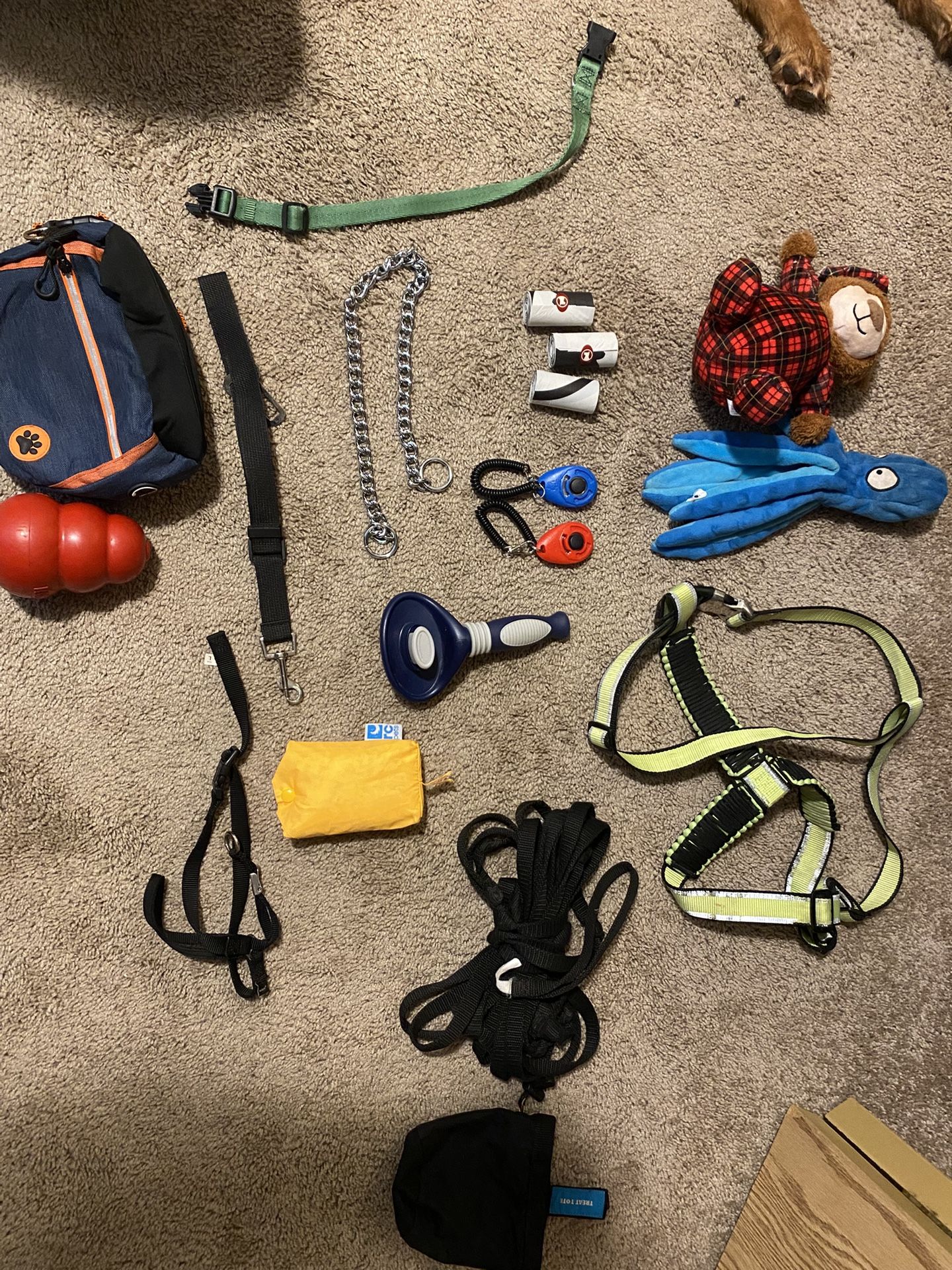 Dog Puppy Starter Pack 