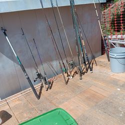 Miss Fishing Poles Reels 