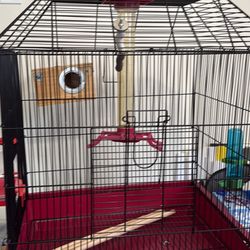 Bird Cage 