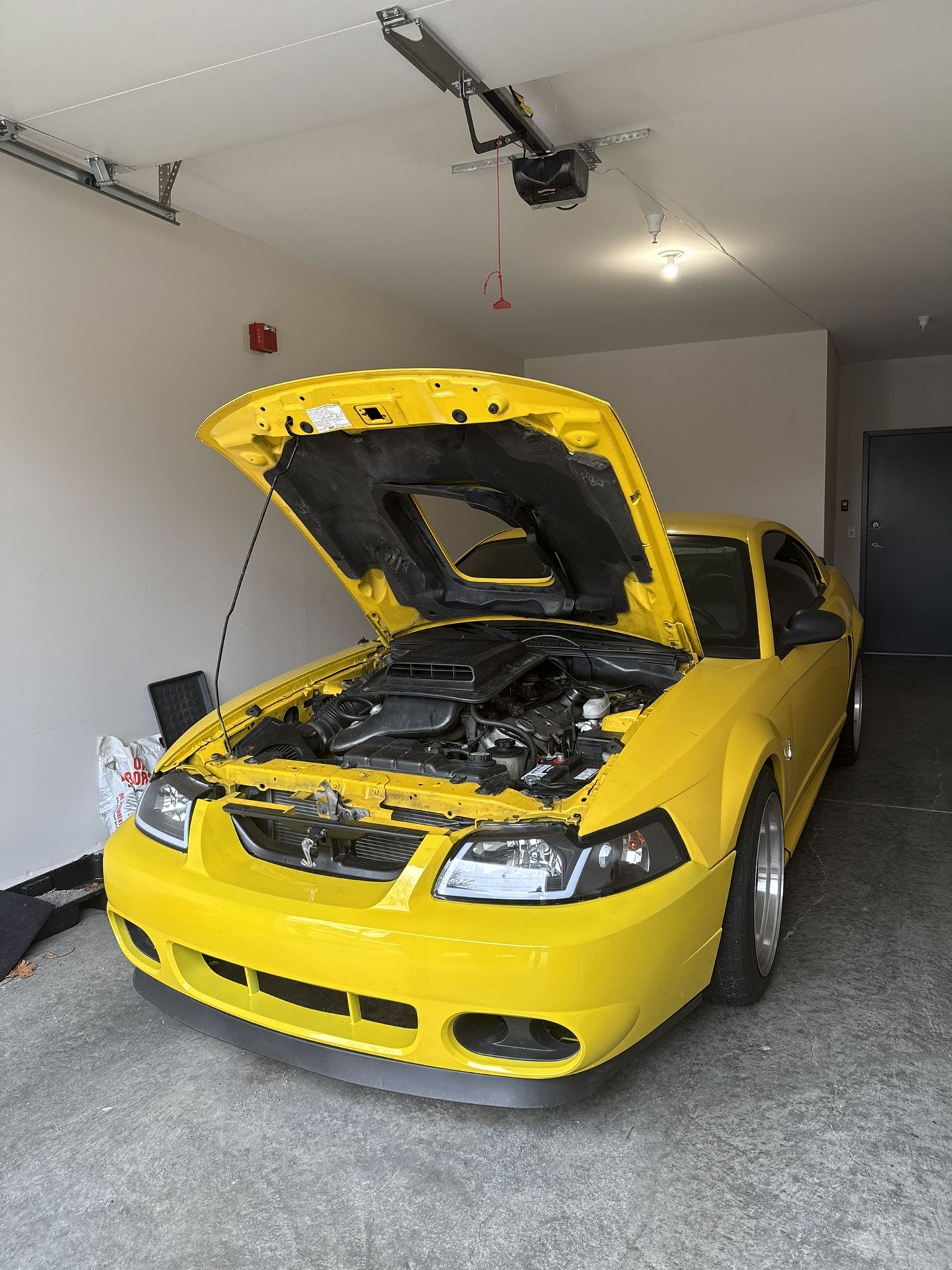 2004 Ford Mustang