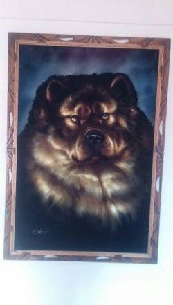 Chow chow painting
