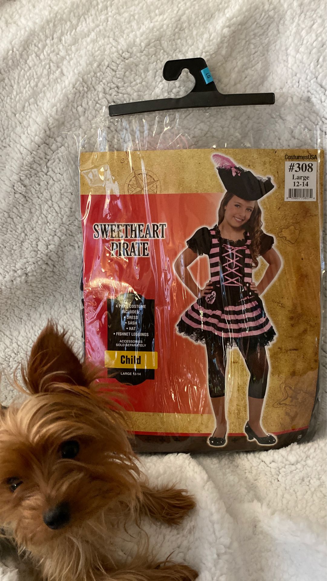 Sweetheart Pirate Girl costume