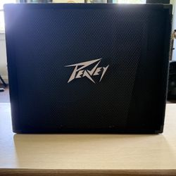 Peavey PV 12M 500W 12 inch 2-way Floor Monitor