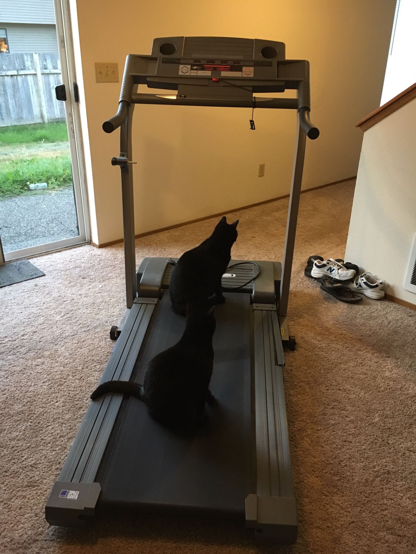 Weslo cadence c62 treadmill new arrivals