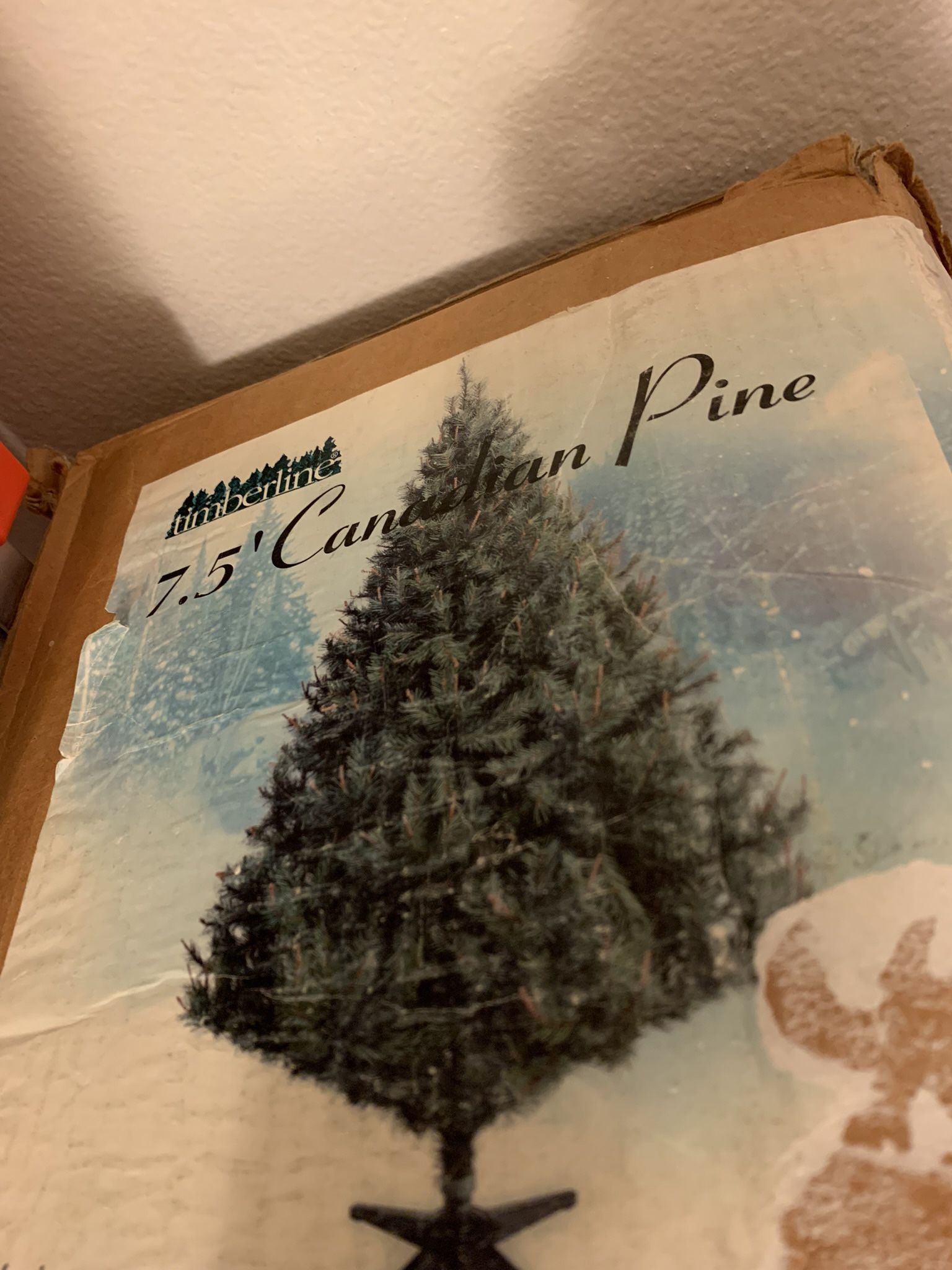 7.5 Canadian Pine