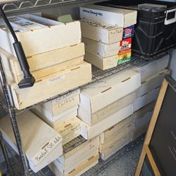 Sports Card Collection 