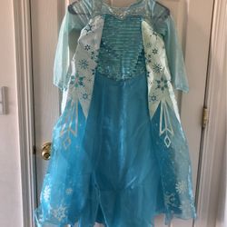 Halloween Costume Elsa