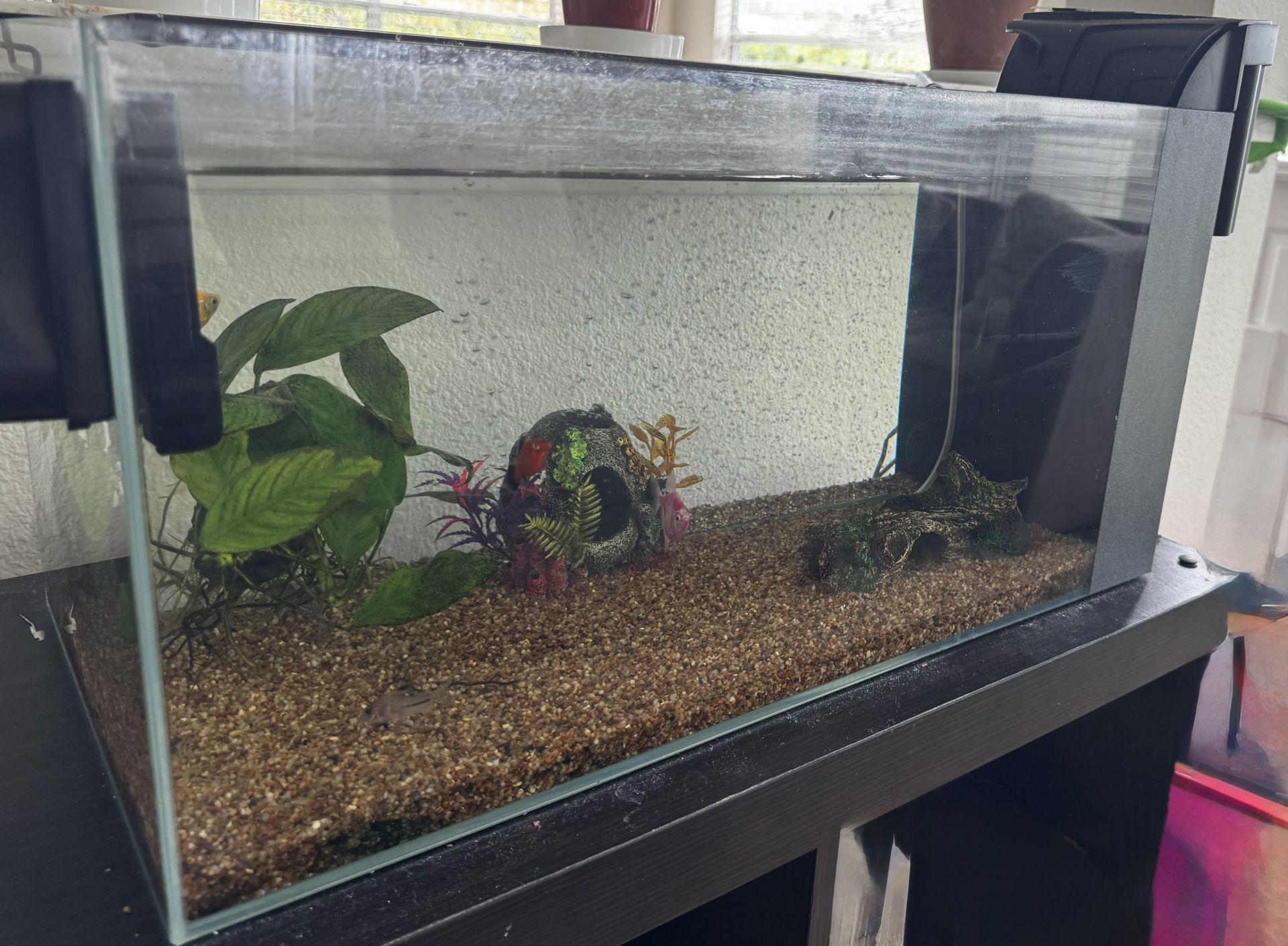 Fish tank