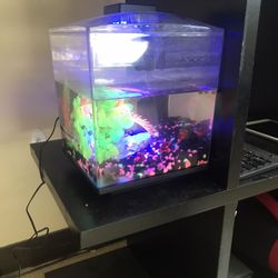 cube Aquarium Tanks (read Description)