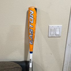 Quantum Easton USA Baseball Bat.