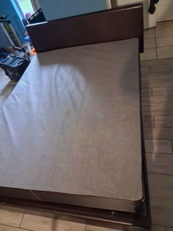 Cama
