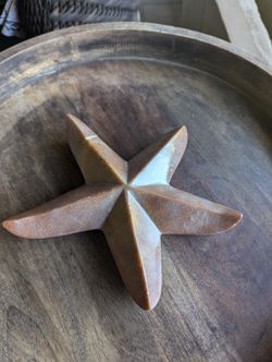 Heavy Stone Starfish