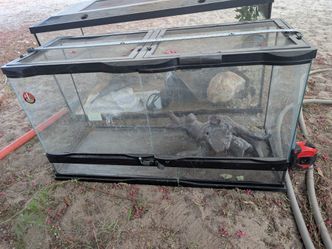 Used Glass Terrarium / Reptile Tank with Screen Lid