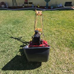 McLane. Briggs & Stratton Motor