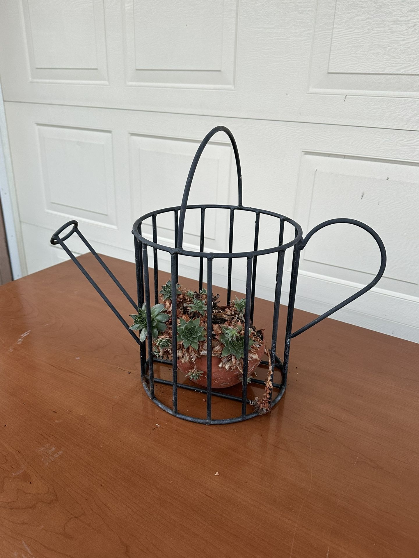 Metal watering can plant holder decor