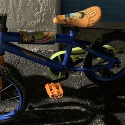 Go Diego bicycle 🚴 