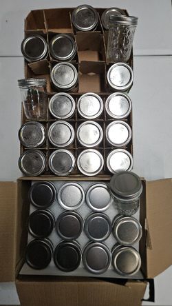 8-Oz Jelly Jars - 31 Total