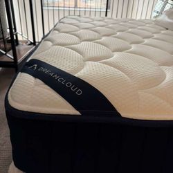 King Mattress 2 Months Old