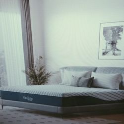 Queen 10" Memory Foam Mattress 