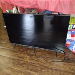 TV Vizio 43in 