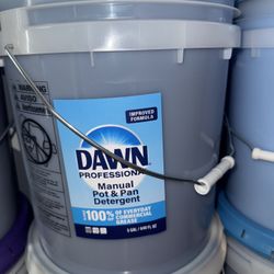 Detergent & Dish Soap 