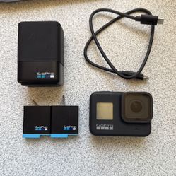 GoPro HERO 8 + 2 Batteries + Dual Charger