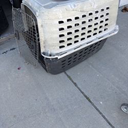 Dog Cage 