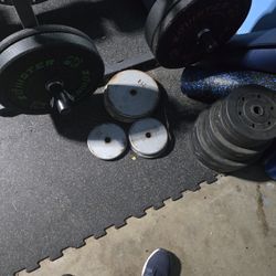 Free Weights 