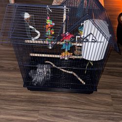bird cage 