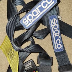 Racing Harness Sparco