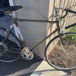 Beautiful 10 Speed Royce Union Bicycle 