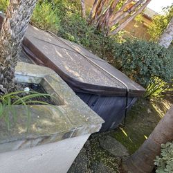 CalSpa Hot Tub And Cover - Free