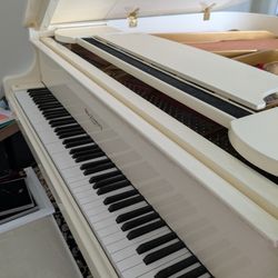 Baby Grand Piano 