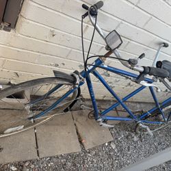 Schwinn Deluxe Twin Tándem Bicycle 