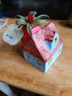 Painted Ceramic House With Live Air Plant