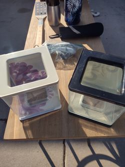 2 Beta Fish Tanks