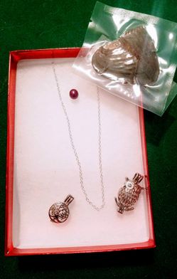 Oyster pearl with necklace