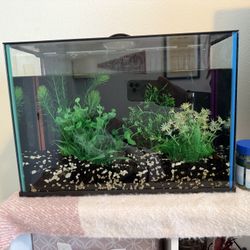 5gal Fish Tank 